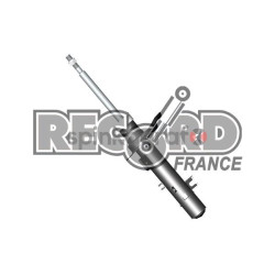 Amortyzator RECORD FRANCE 10 4839 | PEUGEOT