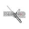 Amortyzator RECORD FRANCE 10 4839 | PEUGEOT