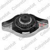 Zaślepka CALORSTAT BY VERNET RC0047 | DAEWOO,DAIHATSU,LEXUS,MAZDA,MITSUBISHI (1640115520,1640120310,1640120353,1640121250,164017