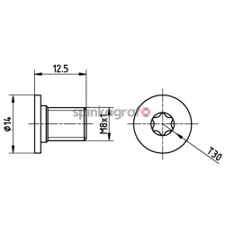Śruba TEXTAR TPM0002