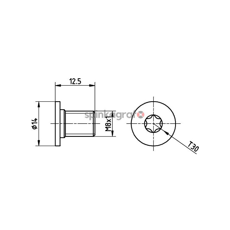 Śruba TEXTAR TPM0002
