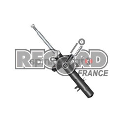 Amortyzator RECORD FRANCE 10 4837 | PEUGEOT