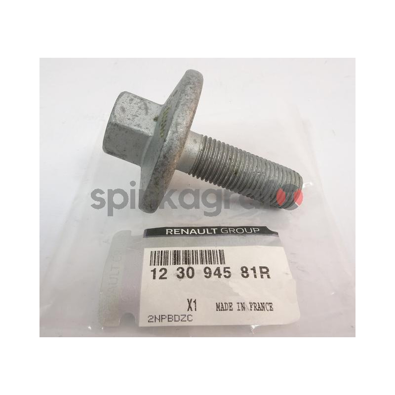 Śruba koła wału korbowego RENAULT 123094581R | Śruba koła pasowego wału korbowego Renault 1.4 TCe