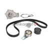 Zestaw paska rozrządu z pompą INA 530 0698 30 | DS DS 3, DS 4, DS 5; CITROEN BERLINGO, MULTISPACE, C3 AIRCROSS II, C3 II,  III, 