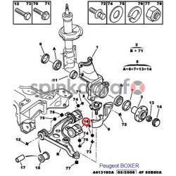 Tuleja wahacza SASIC 8003204 | CITROEN JUMPER/PEUGEOT BOXER (352394)
