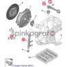 Łapa sprzęgła SASIC 1172522 | PEUGEOT 106,306,PARTNER CITROEN BERLINGO,XARA (211752)