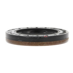 Pierścień uszczelniający CORTECO 01020317B | BMW (12116763,33107505602,33131206111,33131214100)