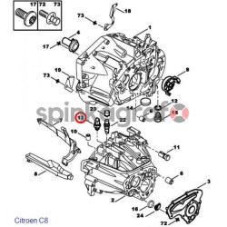 Korek spustowy oleju SASIC 2212112 | CITROEN,P.205,309,405 M16 x 1.5 (magnes)  (222111)