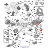 Poduszka silnika SASIC 8441511 | PEUGEOT 306-PARTNER;CITROEN BERLINGO  (184451)