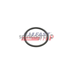 Oring FAST FT49935 | CITROËN 1434F7^,1434G3^,3641490^,9683725080^,9684362180^