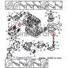 Poduszka silnika KLEBER M43 | PEUGEOT 406,806/CITROEN mot.XU/XUD org.1809.16;1807.47