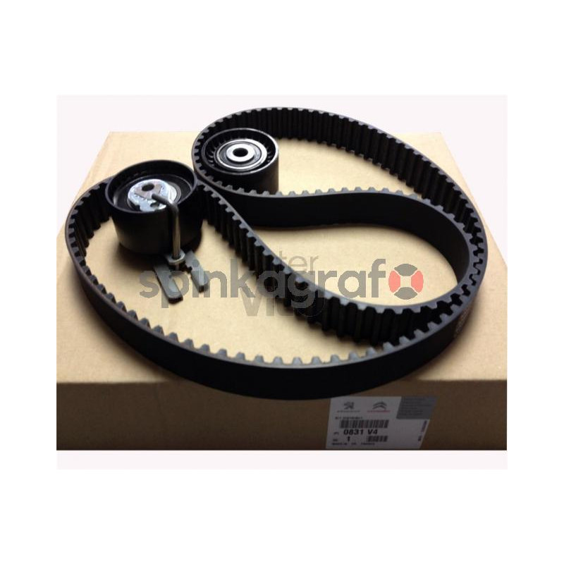 Zestaw paska rozrządu PSA 0831V4 | PEUGEOT 206,207,307,308/CITROEN C3,C4,C5 mot.DV6 (1.6HDi) Zestaw paska rozrządu PSA 0831V4 | PEUGEOT 206,207,307,308/CITROEN C3,C4,C5 mot.DV6 (1.6HDi)