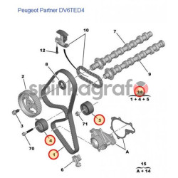 Zestaw paska rozrządu PSA 0831V4 | PEUGEOT 206,207,307,308/CITROEN C3,C4,C5 mot.DV6 (1.6HDi)