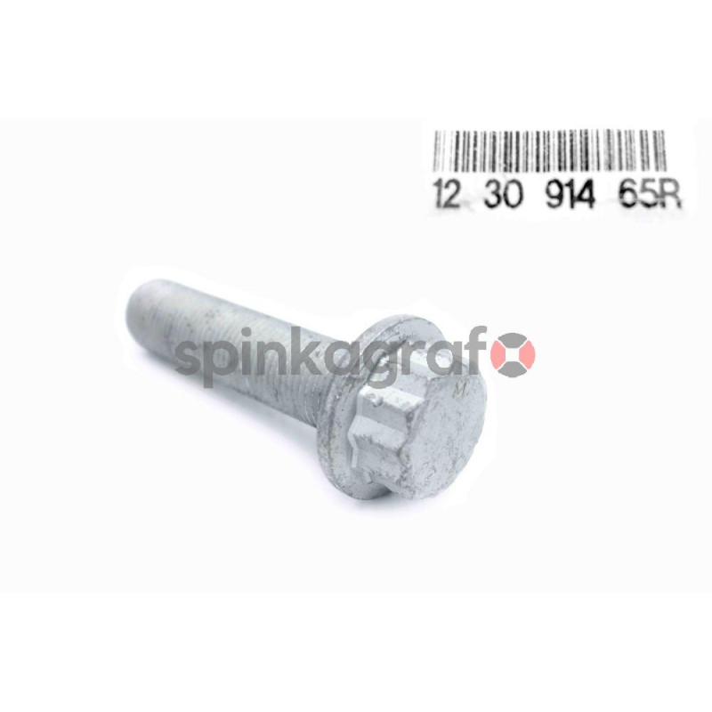 Śruba koła wału korbowego RENAULT 123091465R | Śruba mocowania koła pasowego Renault 2.3 DCi Master 2010-> Śruba koła wału korbowego RENAULT 123091465R | Śruba mocowania koła pasowego Renault 2.3 DCi Master 2010->
