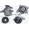 Pompa wody DOLZ R239 | RENAULT / NISSAN MEGANE III (BZ0_)/SCÉNIC III (JZ0/1_)/MEGANE CC (EZ0/1_) 1.6 dCi (BZ00, BZ12) R9M 402/R9