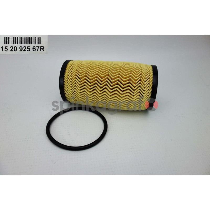 Filtr oleju RENAULT 152092567R | DACIA,MERCEDES-BENZ,NISSAN,RENAULT (1520900Q0J,152092567R,6081840100,A6081840100) Filtr oleju RENAULT 152092567R | DACIA,MERCEDES-BENZ,NISSAN,RENAULT (1520900Q0J,152092567R,6081840100,A6081840100)