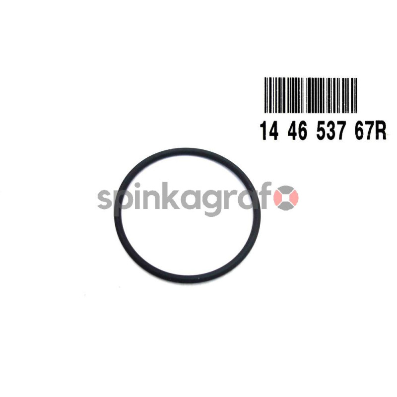 Uszczelka turbosprężarki RENAULT 144653767R