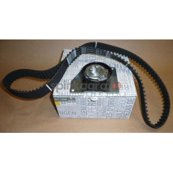 Zestaw paska rozrządu RENAULT 8201038625 | RENAULT MEGANE/SCENIC III mot. 1.9DCi F9Q (8201033287)