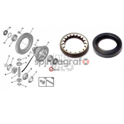 Uszczelniacz półosi SASIC 1213273 | PEUGEOT 206,207,307,308,CITROEN C3,C4,C5(312109)