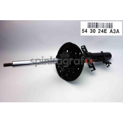 Amortyzator RENAULT 543024EA3A |  (543024EA3A,543024EA7C,E43024EA3A,E43024EA6B,E43024EA7C)