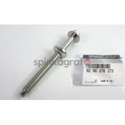 Śruba RENAULT 8200376373 | Renault 2.0 DCi  Laguna II/III, Megane II/III/IV, Scenic II/III/IV