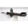 Amortyzator RENAULT 543022905R | DACIA,RENAULT (543020322R,543022905R,543024260R)