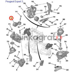 Poduszka silnika HUTCHINSON 524820 |  Citroen C5, EXPERT II, 1.6HDI 16V, 2.0HDI 16V, 2007-&gt;, (180674)