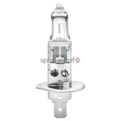 Żarówka samochodowa HELLA 8GH 002 089-131 | ABARTH,ALFA ROMEO,APRILIA MOTORCYCLES,AUDI,BMW (030005050011,128404169,13259098,1354