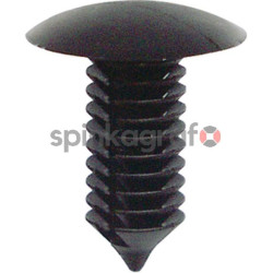 Spinka