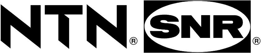 NTN-SNR